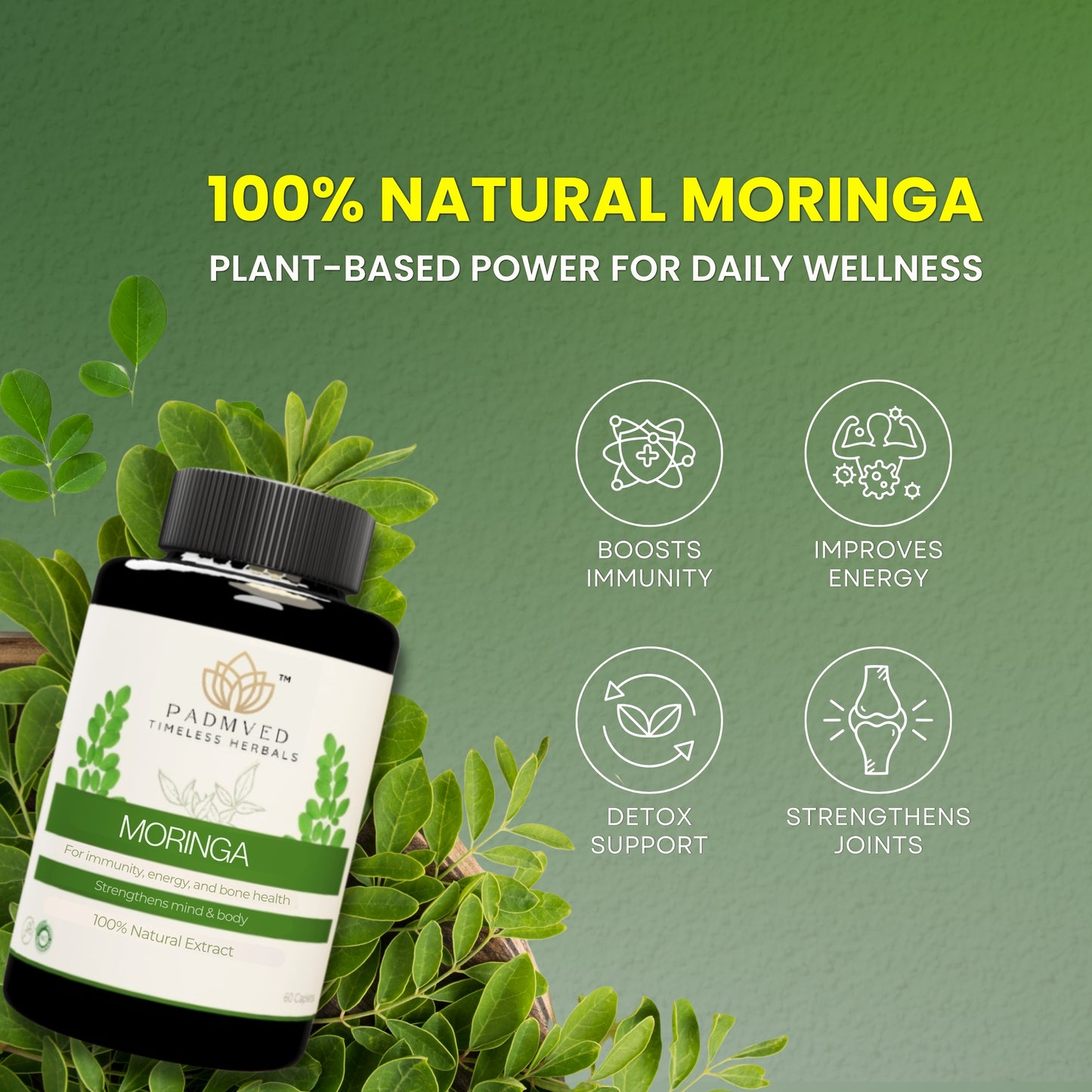 Padmved Moringa | Bone & Joint Wellness, Immunity Booster & Antioxidant Support | 100% Natural Extract | 60 Vegan Tablets