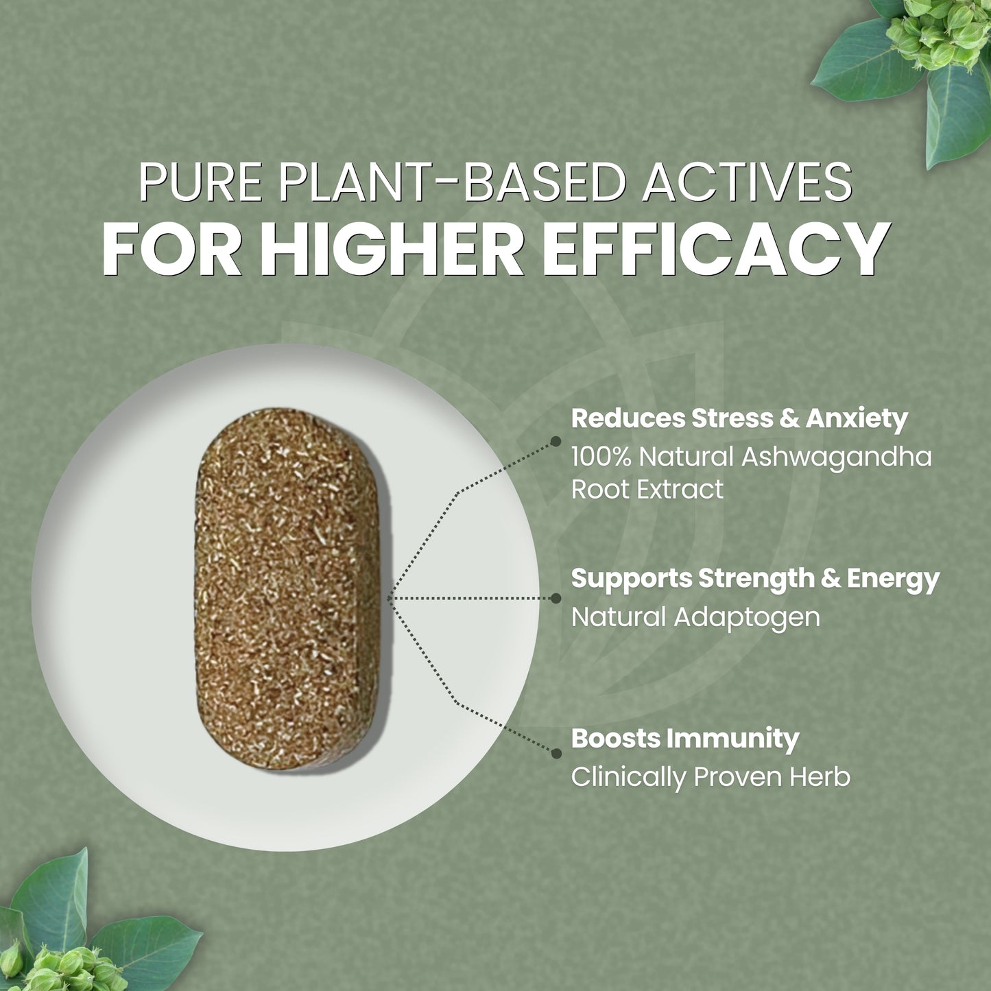 Padmved Ashwagandha | Natural Stress Support, Energy & Immunity Booster | 100% Natural Extract | 60 Vegan Tablets