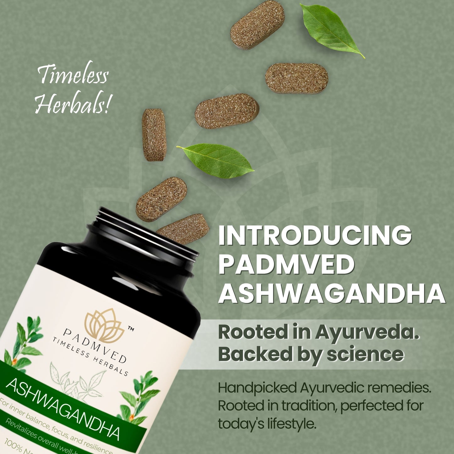 Padmved Ashwagandha | Natural Stress Support, Energy & Immunity Booster | 100% Natural Extract | 60 Vegan Tablets