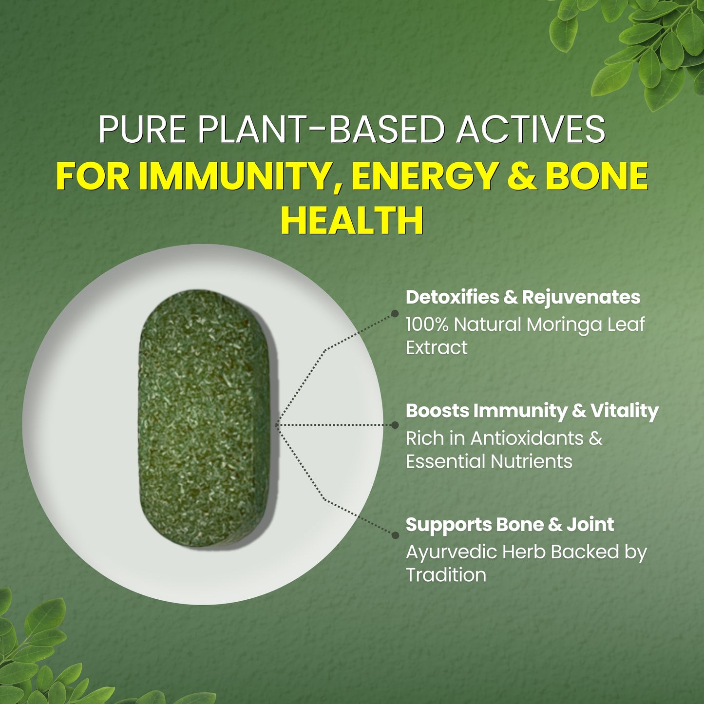 Padmved Moringa | Bone & Joint Wellness, Immunity Booster & Antioxidant Support | 100% Natural Extract | 60 Vegan Tablets