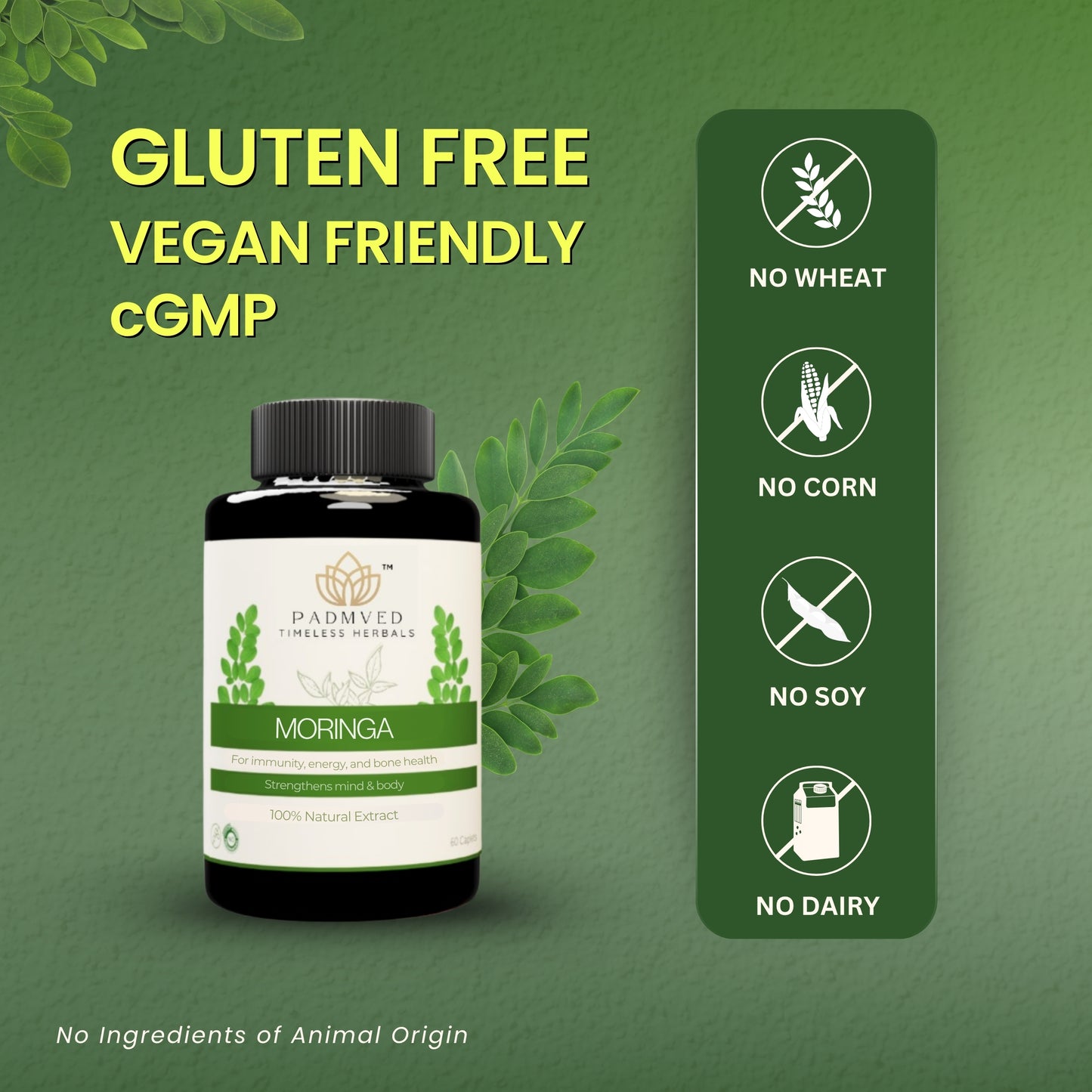 Padmved Moringa | Bone & Joint Wellness, Immunity Booster & Antioxidant Support | 100% Natural Extract | 60 Vegan Tablets