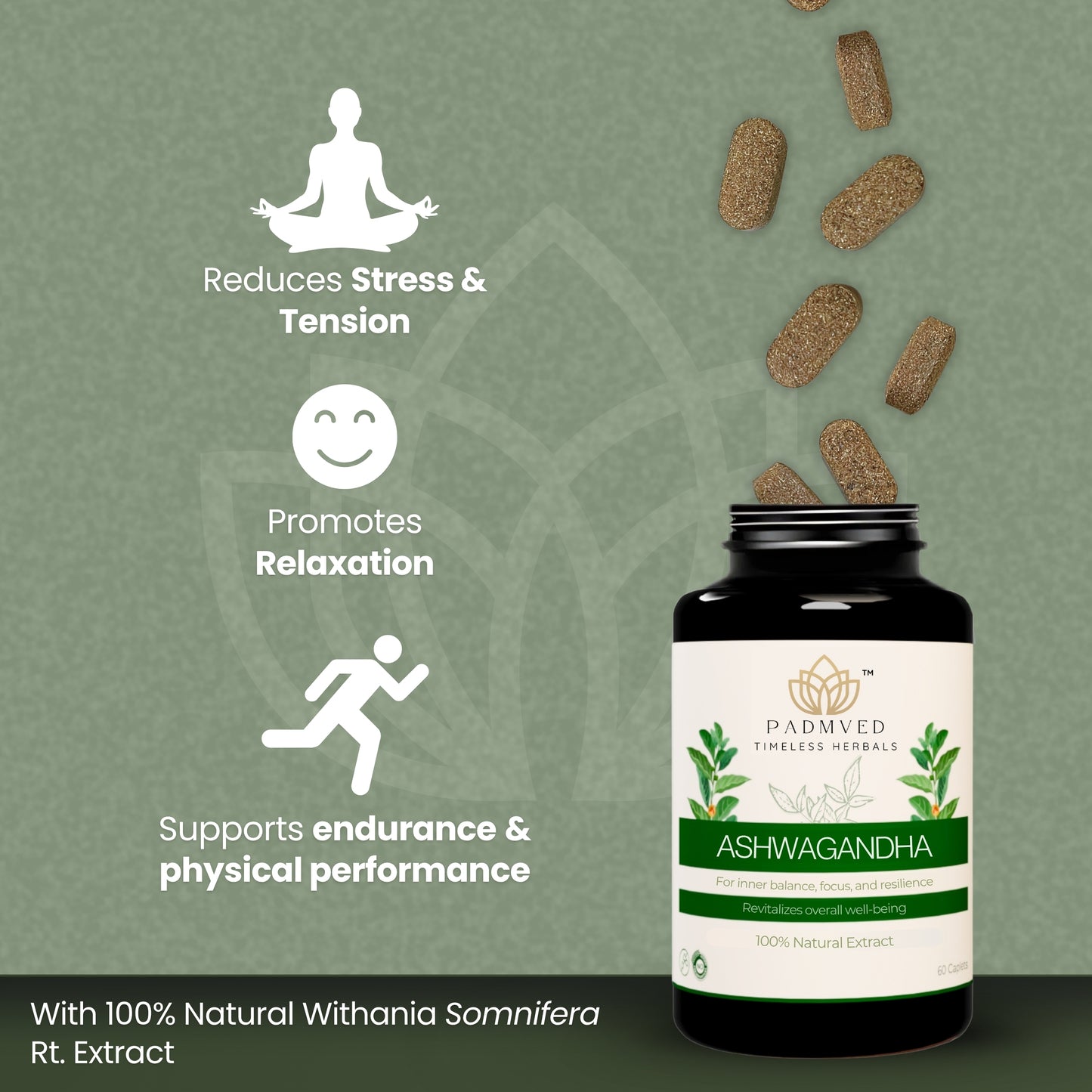 Padmved Ashwagandha | Natural Stress Support, Energy & Immunity Booster | 100% Natural Extract | 60 Vegan Tablets