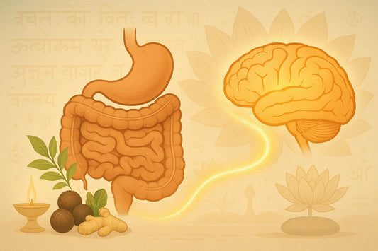 Gut–Brain Connection in Ayurveda: How Your Stomach Shapes Mood & Focus