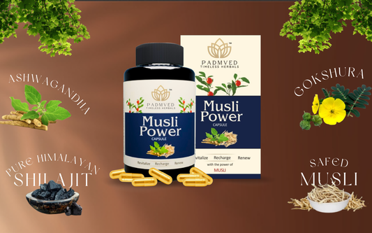 Musli Power Unpacked: Ayurveda’s Natural Booster for Energy, Stamina & Recovery