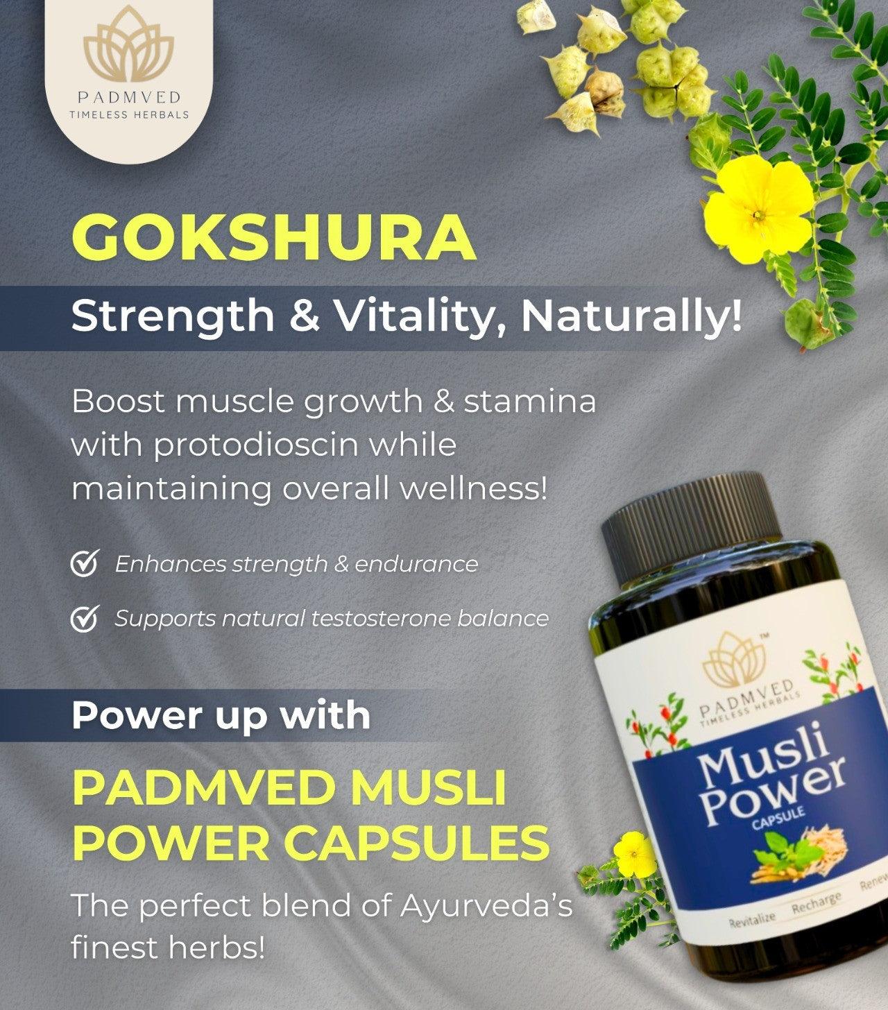 Padmved Musli Power Capsules - Padmved Wellness