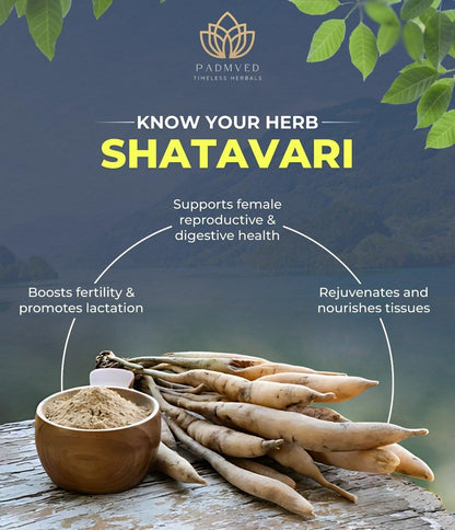 Padmved Musli Power Capsules - Padmved Wellness