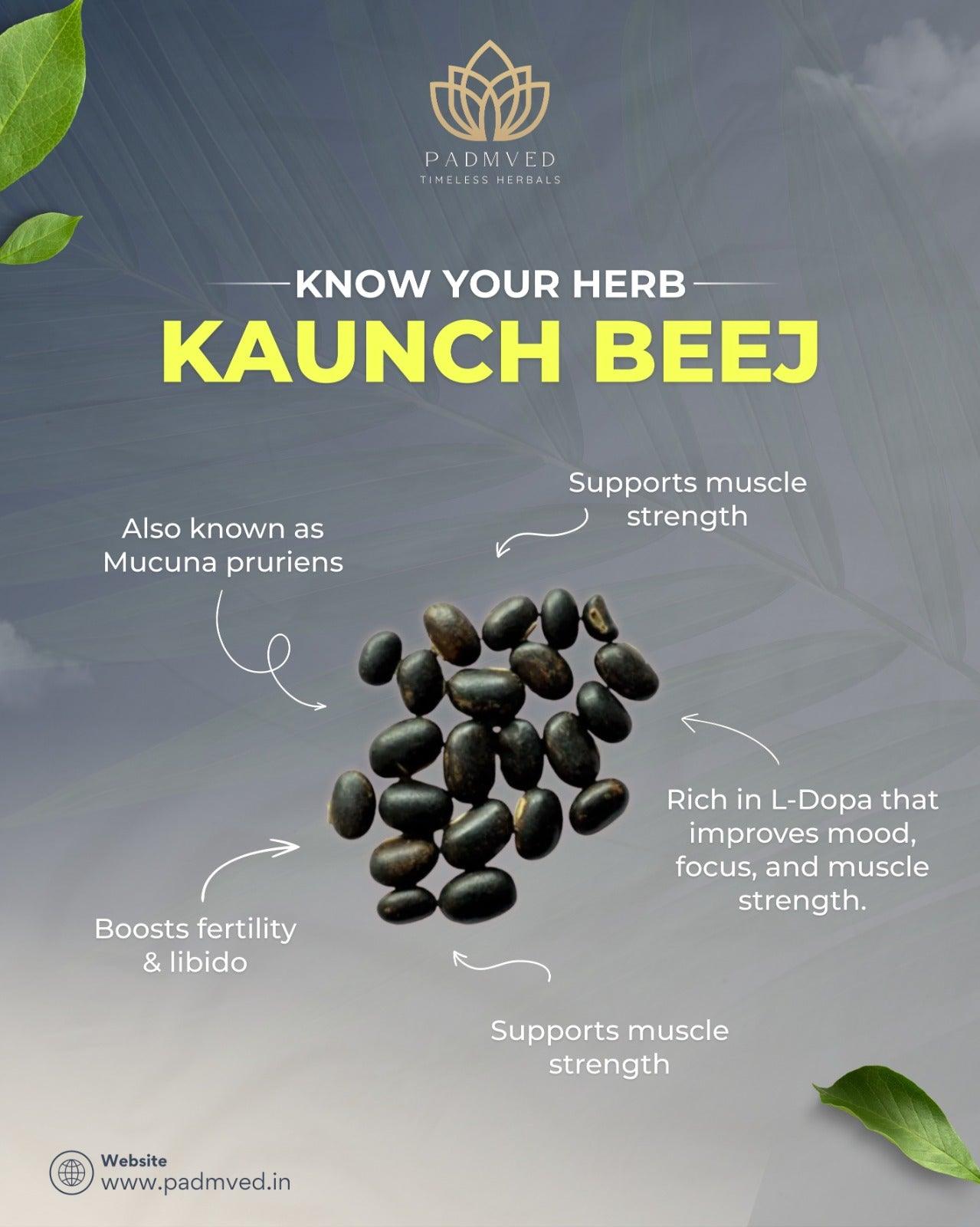 Padmved Musli Power Capsules - Padmved Wellness